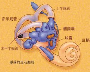 1806301530346386884794.png 图片6.png