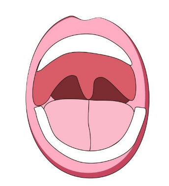 1807041530673185900567.png 图片4.png