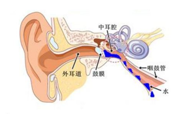 1807101531228569491344.png blob.png