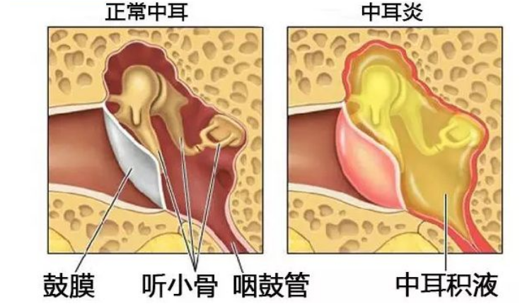 1807101531228621435960.png blob.png