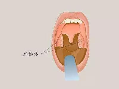 微信图片_20181002154744.jpg