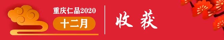 https://mmbiz.qpic.cn/mmbiz_jpg/d6UOlDf2XVdCuCWkKzGRnkibtPNJzG1rZIWMicSJyCODL5iaB2ibmNTiaPFHKrb4zbzU7DItiaKEc6MySgr2ibJ2fsAcA/640?wx_fmt=jpeg