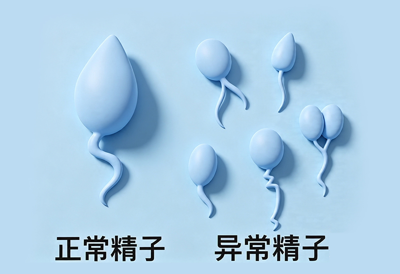 男性不育完整科普：规范检查方案与科学干预指南